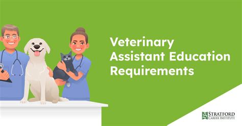 Vet Assistant Requirements Learning About Becoming A Vet Assistant