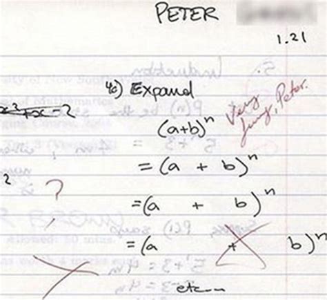 Hilarious Test Answers From Students 33 Pics