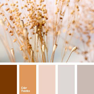 Nude Color Palette Offeo