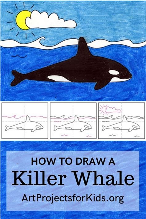 Easy How To Draw A Killer Whale Tutorial And Killer Whale Coloring Page