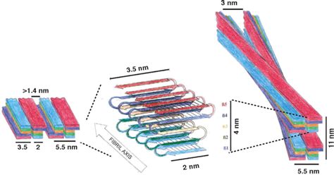 The Fold Of Synuclein Fibrils Pnas