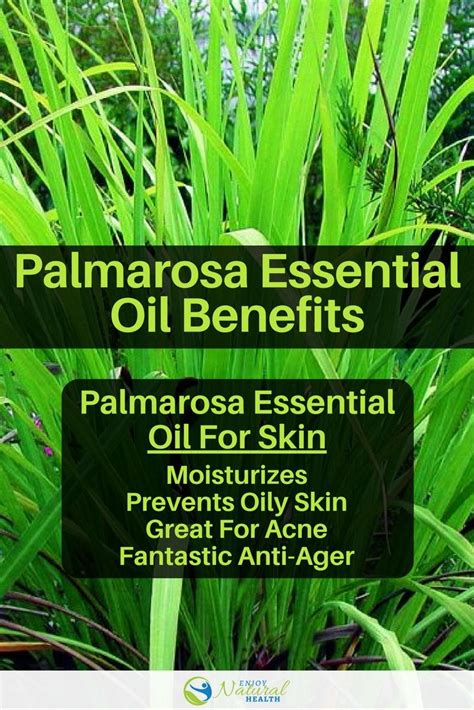 Palmarosa Essential Oil Benefits And Uses Enjoy Natural Health