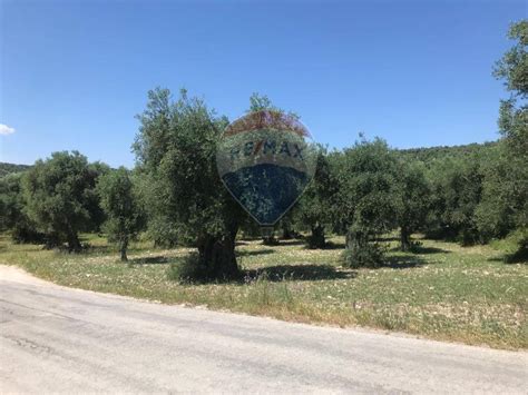 Terreno agricolo Località Coppacardillo SNC Vieste rif 113279613