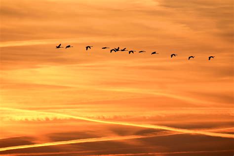 Fotos Gratis Paisaje Naturaleza Horizonte Ala Nube Cielo