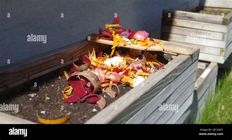 Compost From Organic Waste Man Throws Kitchen Vegetable Fruit And Egg