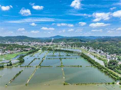 江西赣州：夏日田园风光美 人民图片网