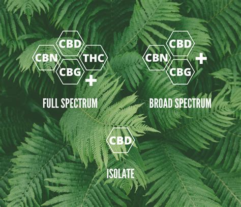 Full Spectrum Cbd Vs Broad Spectrum Vs Cbd Isolate