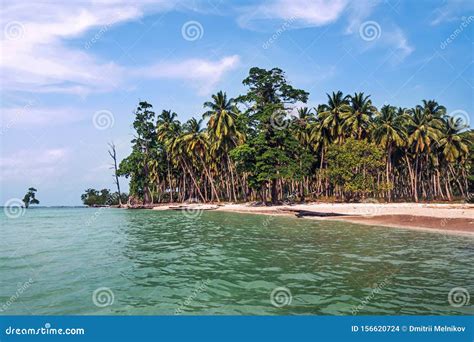 Tall Coconut Palm Trees Over Tropical Island Resort Beach In Fiji Stock