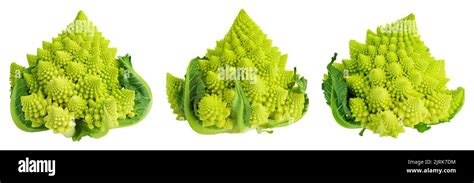 Romanesco Broccoli Cabbage Or Roman Cauliflower Isolated On White