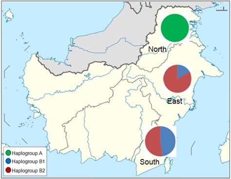 Map showing the frequency of distribution of the haplogroup variants in ...