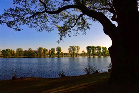 Unterwegs in Nürnbergs grünen Oasen Volkspark Dutzendteich