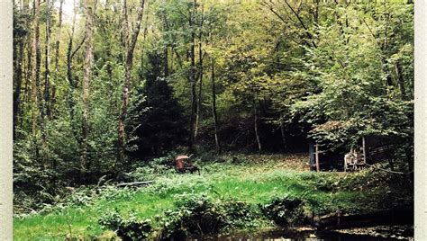 Les clairières libertaires une vie communautaire danarchiste en 1900