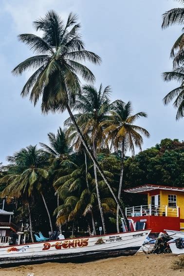 Tobago Bucket List 19 Of The Best Things To Do Travel Done Clever