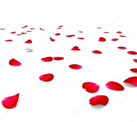 Petals Of Roses On A Floor — Stock Photo © Injenerker 43134565