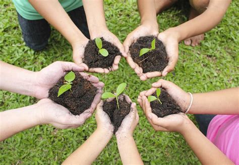 Conoce Actividades De EcologÍa Para JÓvenes Aquí