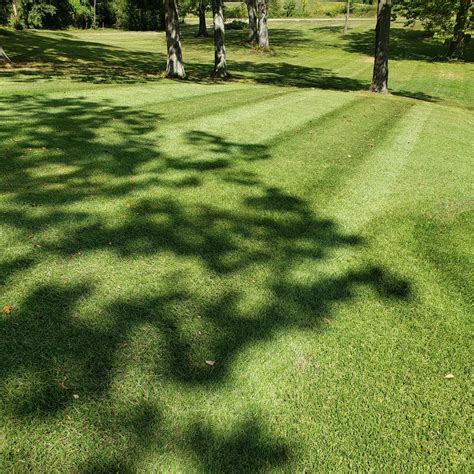 Hilltop Landscaping &... - Hilltop Landscaping & Irrigation