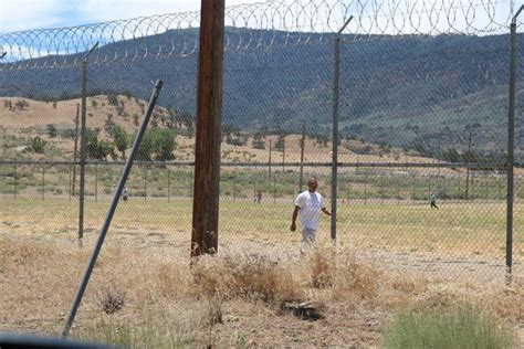 CCI inmates walk for Relay for Life on prison yard | News ...