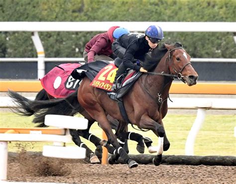 【桜花賞】2歳女王リバティアイランド 満開リハ ゴール前一気に加速でラスト1f11秒2 競馬ニュース Netkeiba