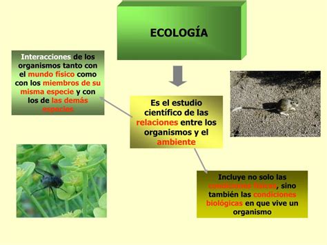 Ppt La Ecolog A Tiene Unas Ra Ces Complejas Powerpoint