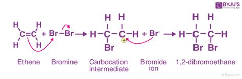 Addition Reaction Electrophilic Nucleophilic Free Radical Addition Reaction With Faqs