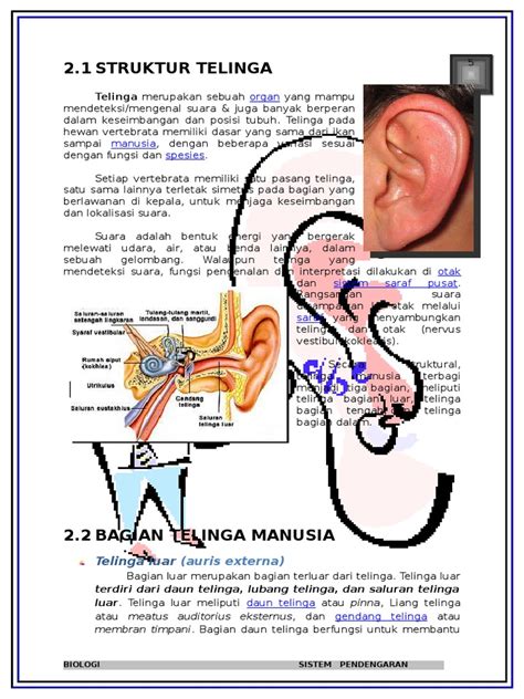 Struktur Dan Fungsi Telinga