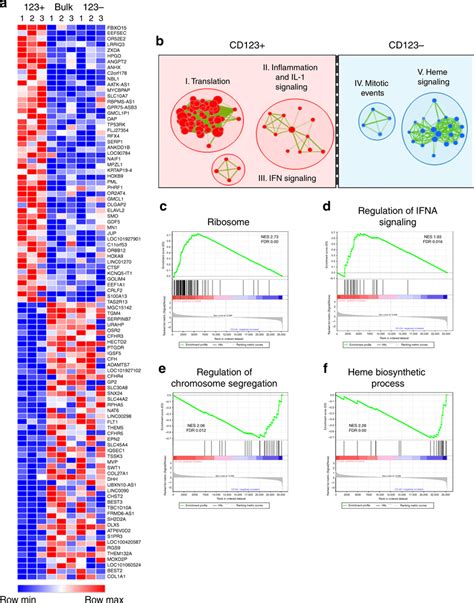 transcriptome analysis shows  upregulation  ribosome