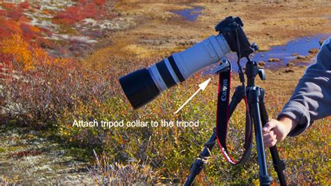 An Overview Of The Best Tripods And Heads For Nature Photographers The