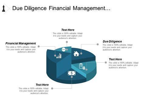 Due Diligence Financial Management Organization Chart Chargeback Model