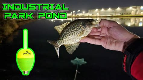 November Crappie Fishing The Industrial Park POND AGAIN YouTube