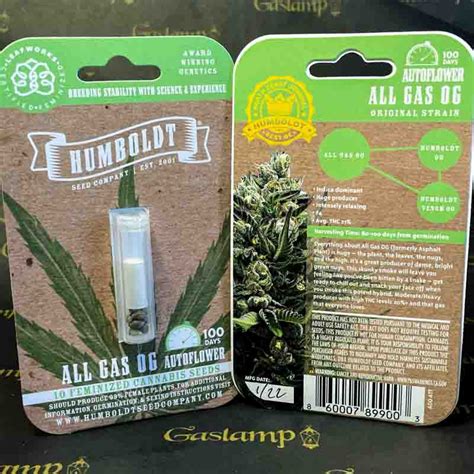 Humboldt Seed Company ALL GAS OG AUTO 10 Feminized Autoflower Seeds