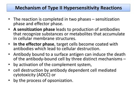 Type Ii Hypersensitivity Antibody Mediated Cytotoxic Hypersensitivity