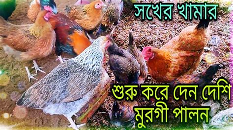 এতো না ভেবে শুরু করে দেন আপনার সখের দেশী মুরগী পালন🥰 সখের দেশী মুরগীর খামার। 💥 Youtube