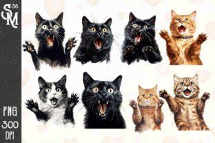 Surprise Cats Sublimation Clipart Png Graphic By Stevenmunoz