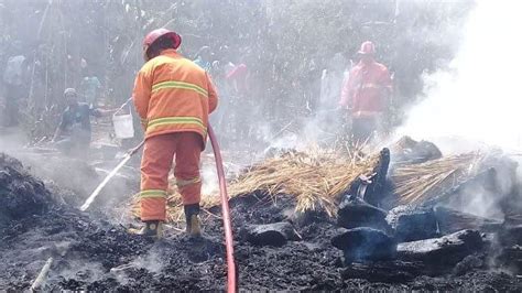 Gudang Pengeringan Tembakau Di Sidodadi Jember Terbakar Pemilik Merugi