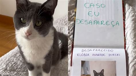 Tutora Elabora Caderno Para Caso Gato Desapare A E Choca Ao Citar