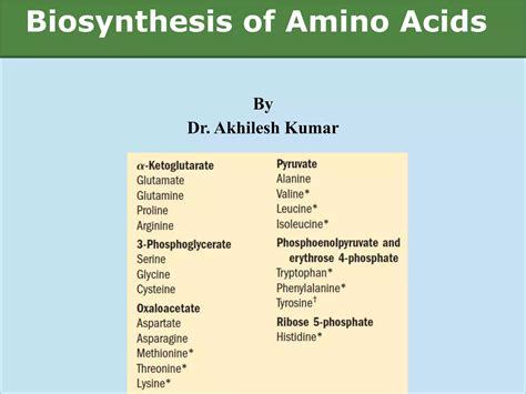 Biosynthesis of amino acid | PPT