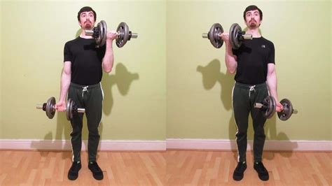 Alternating Dumbbell Curl Tutorial Standing And Seated