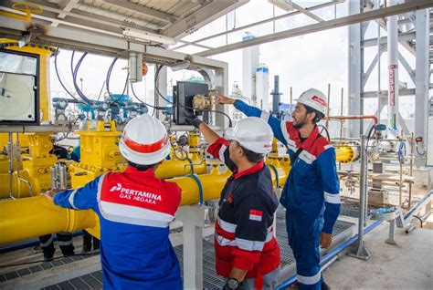 Dukung Hilirisasi Energi PGN Suplai Gas Bumi 9 49 BBTUD Ke PT Freeport