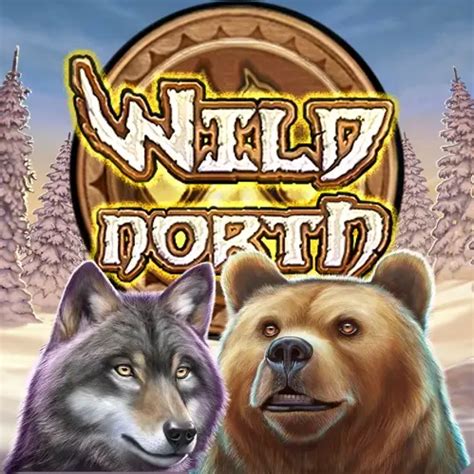 Wild North (RTP 96.55 % | Play’n GO) Slot Review - GMBLRS.COM