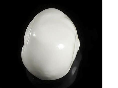 17 Best images about GEM . PEARL . TRIDACNA GIGAS on Pinterest ...