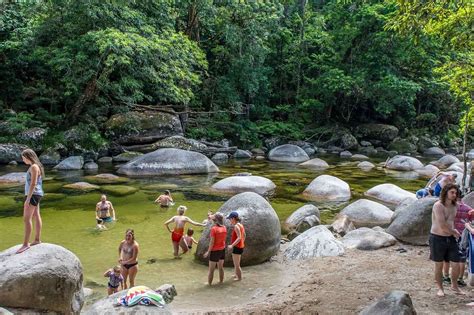 Buy Cape Tribulation Daintree Rainforest And Mossman Gorge Day Tour