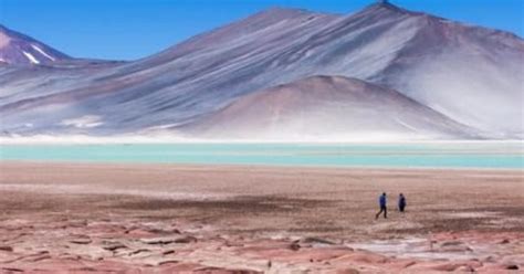 San Pedro De Atacama Piedras Rojas Y Lagunas Altiplanicas Getyourguide