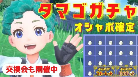 【ポケモンsv視聴者参加型】ポケモン交換会なんだけど、タマゴっていります？【ライブ配信】 Youtube