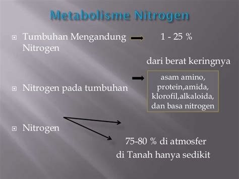 Metabolisme Nitrogenpptx Amrul