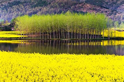 Shaanxi Province - Travel Guide