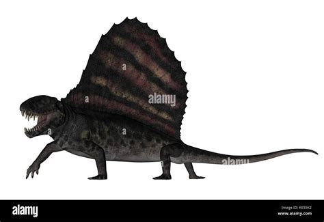 Dimetrodon Dinosaur 3d Render Stock Photo Alamy