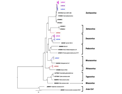 Phylogenetic Tree Of Alphacov Partial Rdrp Gene The Sequences Detected