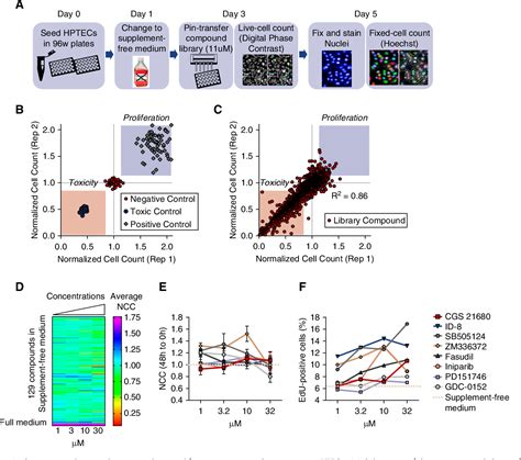 Figure 2 From A High Throughput Screen Identifies Dyrk1a Inhibitor Id 8