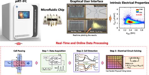 Pirt Ifc Physics Informed Real Time Impedance Flow Cytometry For The