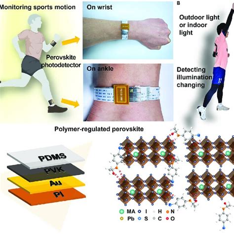 Design Of Wearable Perovskite Based Photodetector For Real Time And